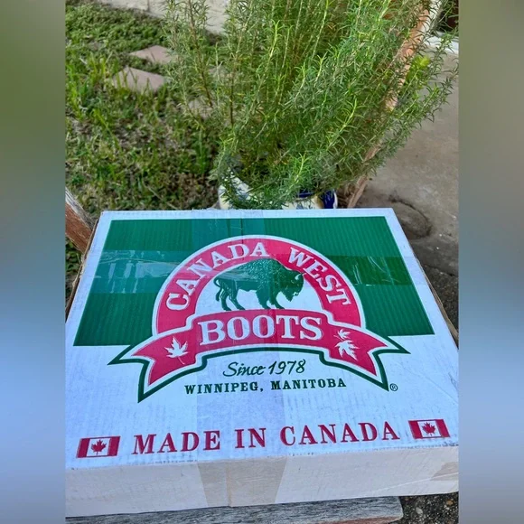 NWT Frye Like Studded Biker Boots Sz 7 BRAND NEW MOTORCYCLE BOOTS - Picture 7 of 11